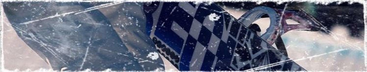 Snowboard-Sets