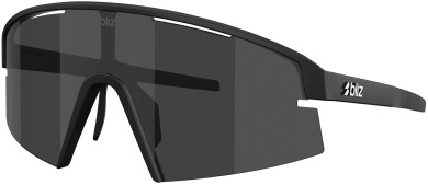 P006 Sunglasses matte black/smoke