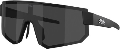 P005 Sonnenbrille matte black/smoke