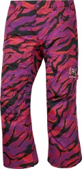 AK GORE TEX SWASH Pant slash multi
