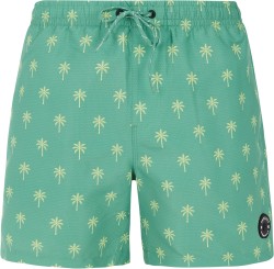 PRTALVIS Boardshort frosty green