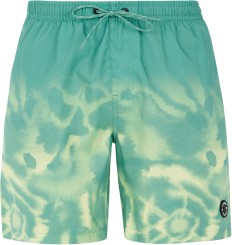 PRTAGOR Boardshort frosty green