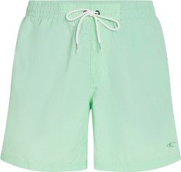 VERT 16 Boardshort mildrew mint