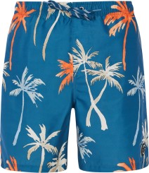 PRTHEAR 19 Boardshort raku blue