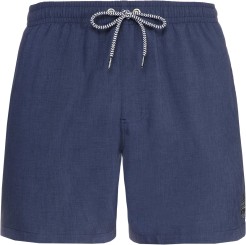 DAVEY Boardshort ground blue