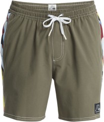 ORIGINAL ARCH 17 Boardshort grape leaf