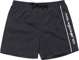 EVERYDAY VERT 16 Boardshort black