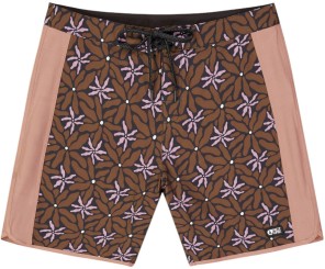 ANDY 17 PRINTED Boardshort alpine alps print