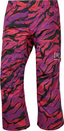 AK GORE TEX SWASH Pant 2026 slash multi 