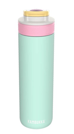 LAGOON 600ML Insulated Bottle 2026 ice pop 