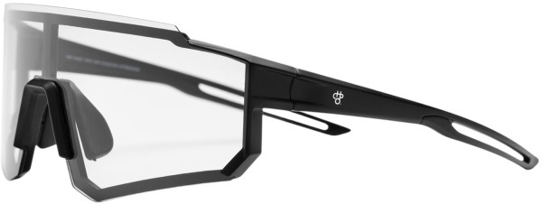 SIRI PHOTOCHROMIC Sunglasses black/transparent 