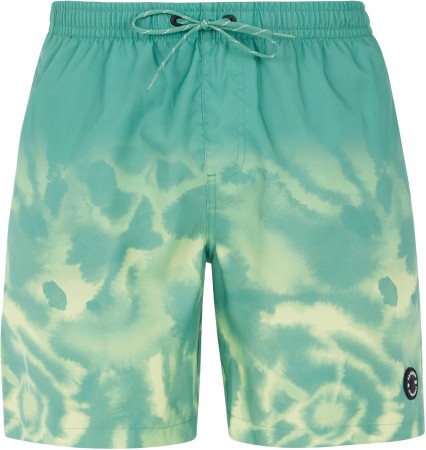 PRTAGOR Boardshort 2024 frosty green 