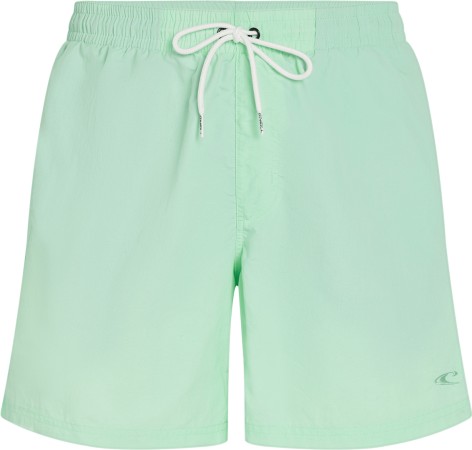 VERT 16 Boardshort 2025 mildrew mint 