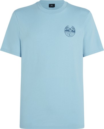 BACK PRINT T-Shirt 2025 morning glory melange 