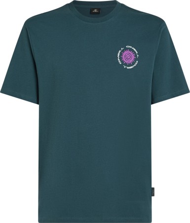 CHEST PRINT T-Shirt 2025 alma steel 