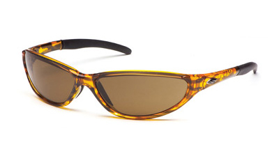 CATALYST Sunglasses brown stripe/SB18/RC36/Y68 