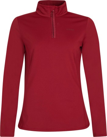 FABRIZ 1/4 ZIP Fleece 2023 red winebordeaux 