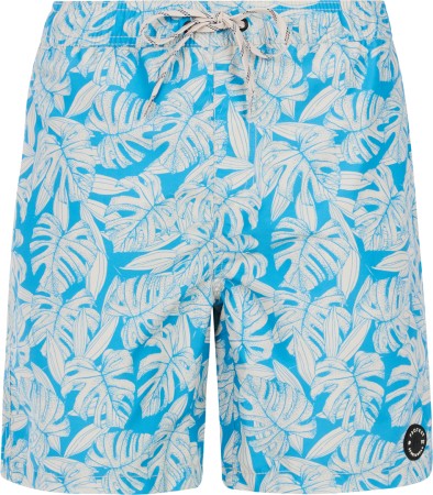 PRTPEDRO 19 Boardshort 2025 olympic blue 