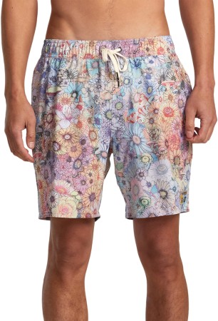 SAGE ELASTIC HEMP 17 Boardshort 2024 multi 