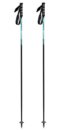 CARBON MOTION Stöcke 2026 