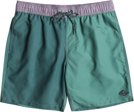 ALL DAY INTERCHANGE LAY BACK 17,5 Boardshort 2024 jade stone 