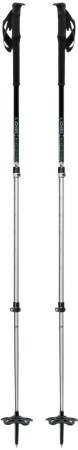 TALON SILVER Poles 2025 silver 