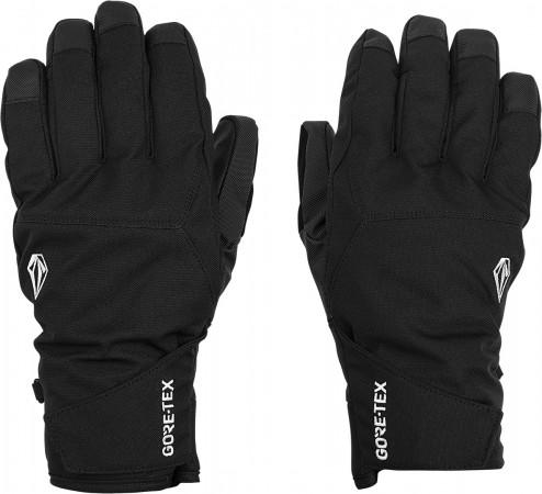 CP2 GORE TEX Glove 2021 black 