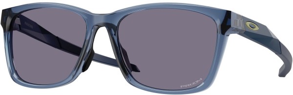 PARACORD Sonnenbrille transparent abyss/prizm grey 