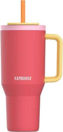 RIO 950ML Trinkflasche 2026 pink papaya 
