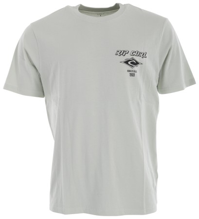 FADE OUT ICON T-Shirt 2024 light green 