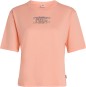 Product image 1 of the product “SUMMER MUSTHAVES BACK PRINT T-Shirt 2025 coral pop ”