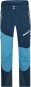 Artikelbild 1 des Artikels “TRESA Hose 2024 hale navy 44“