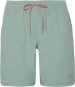 Artikelbild 1 des Artikels “PRTNOOSA Boardshort 2022 green baygreen XS“