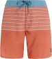 Artikelbild 1 des Artikels “PRTLOHNI Boardshort 2023 clay S“