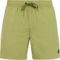 Artikelbild 1 des Artikels “FASTER Boardshort 2026 fern green “