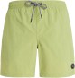 Product image 1 of the product “FASTER Boardshort 2024 algae green ”