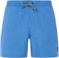 Artikelbild 1 des Artikels “DAVEY 16 Boardshort 2025 gladio blue S“