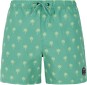 Artikelbild 1 des Artikels “PRTALVIS Boardshort 2024 frosty green S“