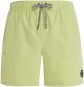Artikelbild 1 des Artikels “PRTYESSINE Boardshort 2023 algaegreen XXL“