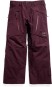 Artikelbild 1 des Artikels “AK SWASH INSULATED GORE TEX 2L Hose 2027 rum raisin XXL“