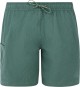 Product image 1 of the product “PRTAGAAT Boardshort 2025 veggie green ”