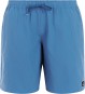 Artikelbild 1 des Artikels “PRTMAPPLE Boardshort 2026 gladio blue XL“