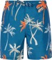 Artikelbild 1 des Artikels “PRTHEAR 19 Boardshort 2025 raku blue S“