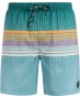 Product image 1 of the product “PRTLATIKA Boardshort 2026 dark teal XXL”