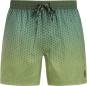 Artikelbild 1 des Artikels “PRTNORTHAW Boardshort 2026 thyme S“