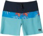 Artikelbild 1 des Artikels “SURFSILK PANEL 18 Boardshort 2024 monaco blue 31“
