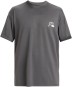 Artikelbild 1 des Artikels “DNA BUBBLE LOGO SURF TEE SS Lycra 2025 iron gate S“