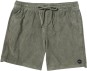 ESCAPE CORD ELASTIC 17 Walkshort  sage leaf, M