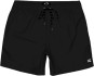 Product image 1 of the product “ALL DAY LAY BACK 16 Boardshort 2026 black S”