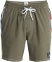 Artikelbild 1 des Artikels “ORIGINAL ARCH 17 Boardshort 2026 grape leaf L“